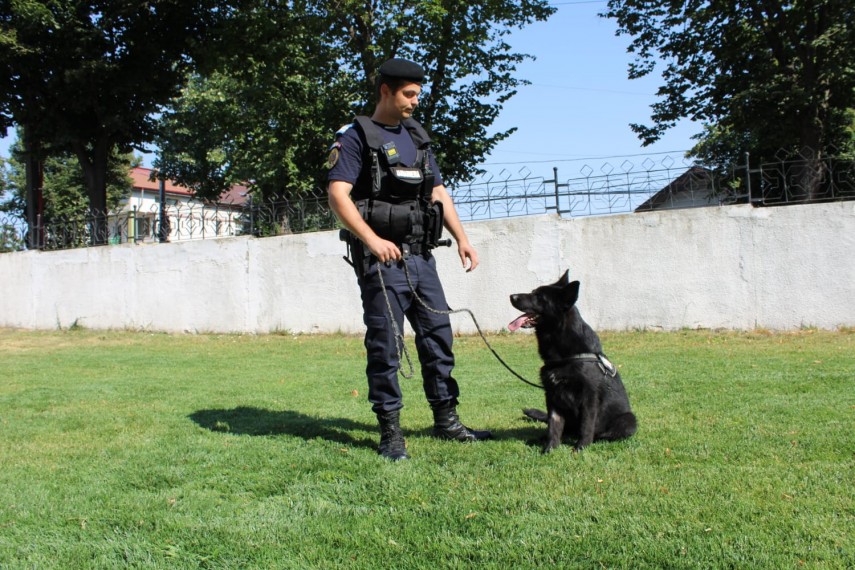 sursa foto: IJJ Tulcea