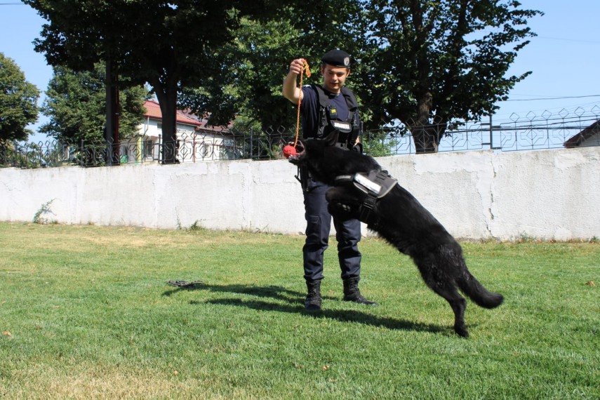 sursa foto: IJJ Tulcea