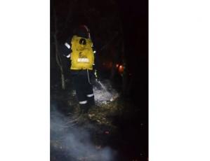 Tulcea. Incendiu la fondul forestier din zona Mănăstirii Cocoș! (FOTO-VIDEO) 