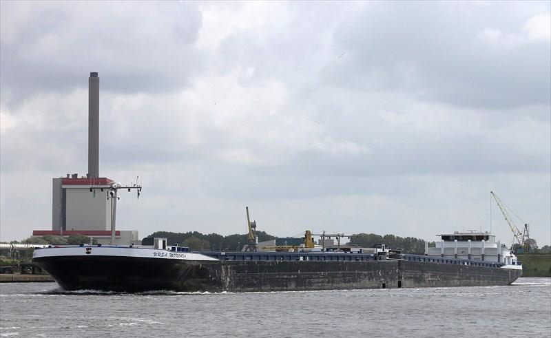Nava „Ursa Montana” - sursa foto: tradingline.ro