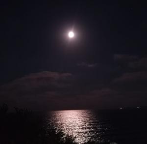 #ConstanțaEsteBine 9 iunie 2025. Maxim de intesitate a presiunii limfatice în sistemele corpului