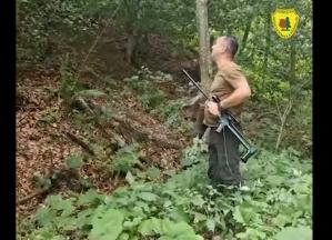 FOTO+VIDEO Unul dintre puii ursoaicei care ar fi ucis un turist pe Transfăgărășan, capturat și dus la centrul de reabilitare de la Zărnești