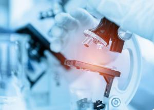 SUA are un plan de a reproduce milioane de insecte și de a le lansa din avioane. Iată motivele 