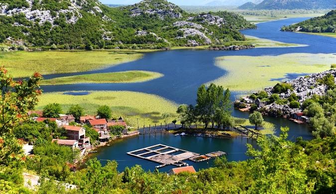 Lacul Skadar, Muntenegru. Foto - Wikipedia