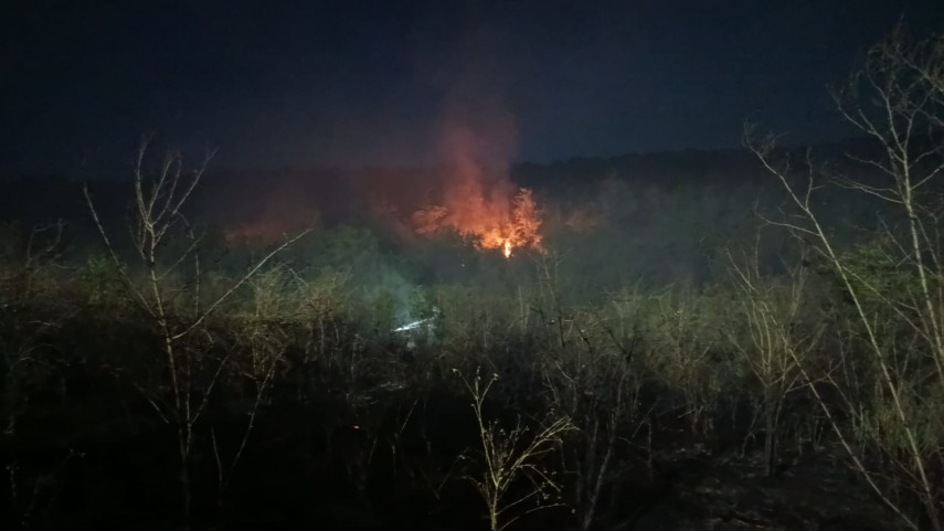 FOTO: Incendiu in Adamclisi, judetul Constanta! O victima cu arsuri transportata la spital  