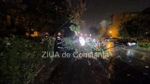 FOTO+VIDEO Copac căzut pe strada Eliberării din municipiul Constanța. Intervin pompierii