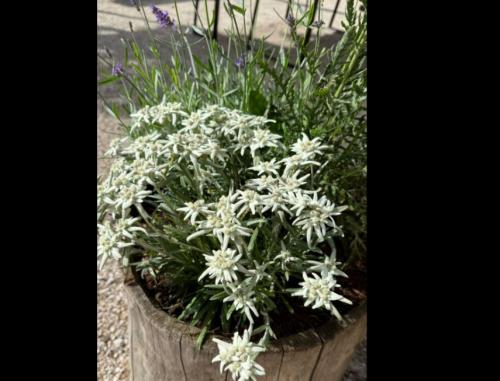 #ConstanțaEsteBine 17 iulie 2025. Suntem în plină lună în scădere, cu eliminări intense - în Natură, în corp