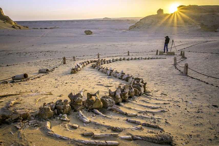 Wadi Al‑Hitan, Egipt. Foto - Wikipedia