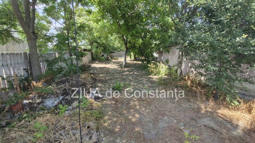 Sursa foto: Ziua de Constanța
