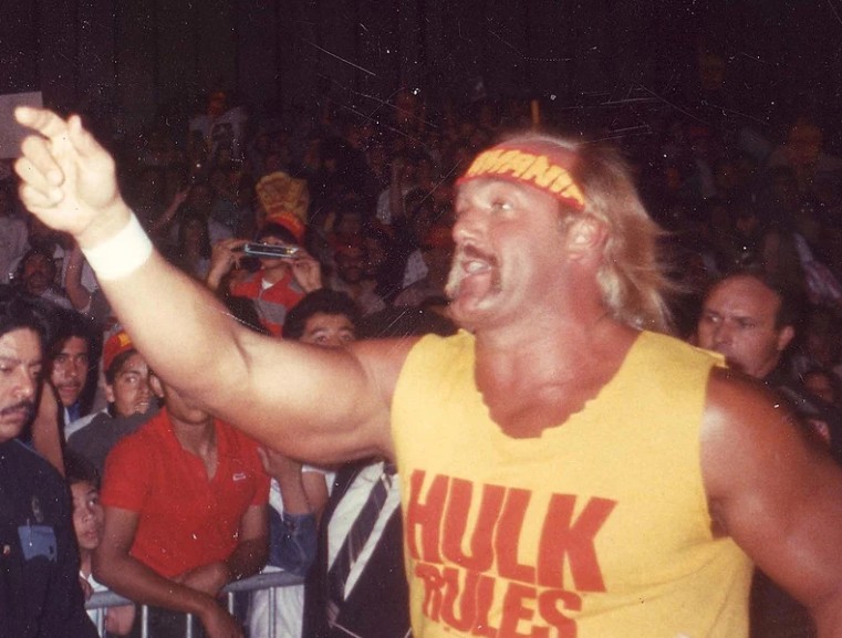 Hulk Hogan, Sursa foot: Wikipedia