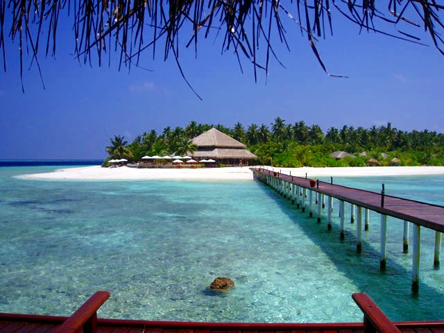 Sursa foto: Wikipedia