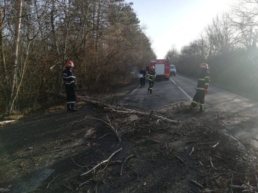 Foto cu rol ilustrativ, Sursa foto: ISU Constanța