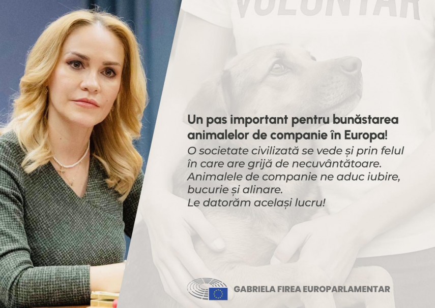 Sursa foto: Facebook/ Gabriela Firea