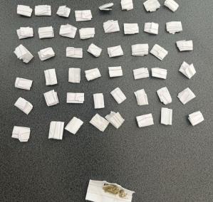 FOTO Droguri și țigări de contrabandă, confiscate de polițiștii locali. Două persoane, conduse la sediul Direcției Generale Poliția Locală Constanța