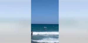 VIDEO Turist salvat de la înec pe plaja din Eforie Nord! În zonă este arborat steagul Galben