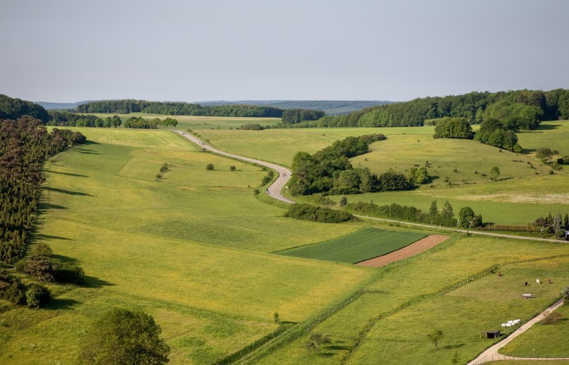 Foto cu rol ilustrativ, Sursa foto: Freepik