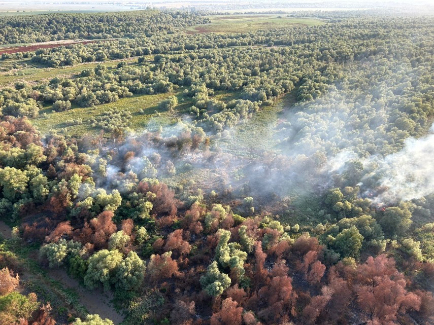 Sursa foto: ISu Delta Tulcea și IGAv