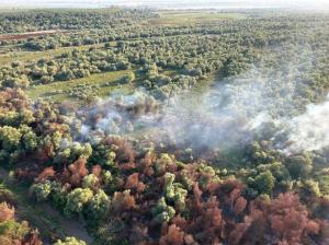 UPDATE. FOTO+VIDEO Incendiu de amploare în Delta Dunării! Un elicopter Black Hawk, trimis în sprijin     