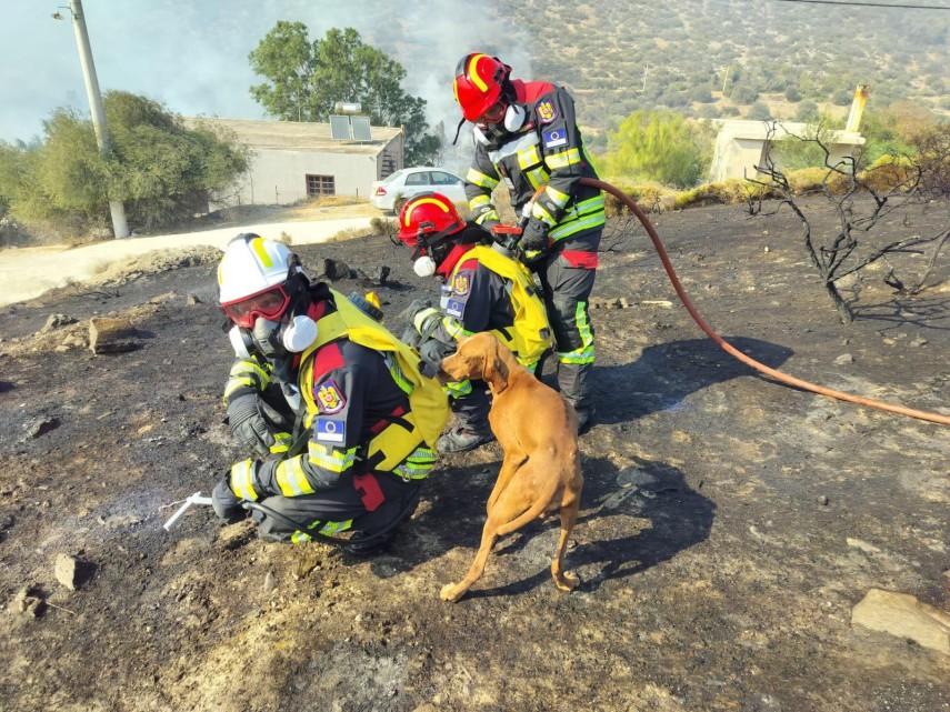 foto prima misiune de stingere a pompierii romani dislocati in grecia 907666