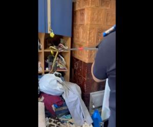 Știri Constanța VIDEO. Șarpe considerat agresiv în interiorul unei case, într-o locuință din Cumpăna! 