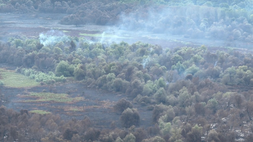 Foto: ISU Delta Tulcea