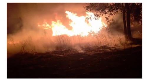 FOTO-VIDEO. UPDATE. Incendiu la ieșire din Lipnița spre Ostrov! Intervin pompierii       
