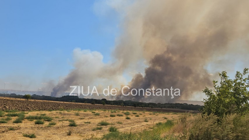 Sursa foto: Ziua de Constanța