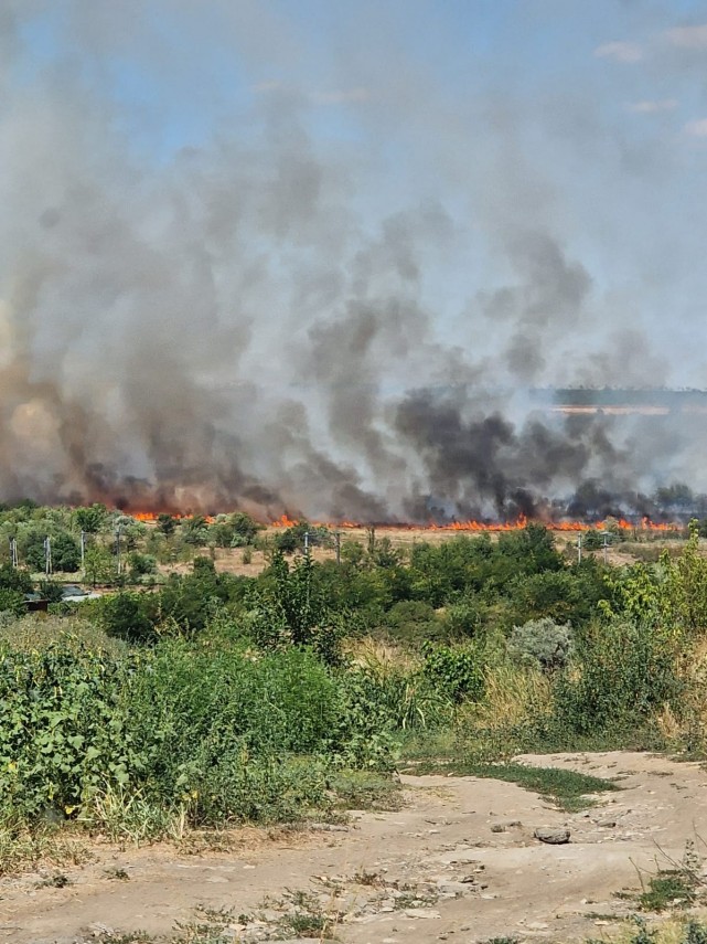 UPDATE. Incendiu violent de vegetatie uscata la Medgidia, judetul Constanta!  