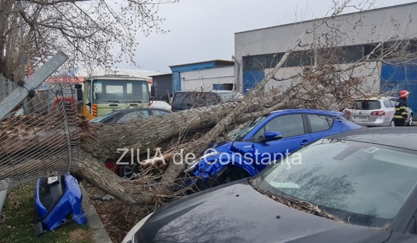 Foto cu rol ilustativ. Sursa: ZIUA de Constanța
