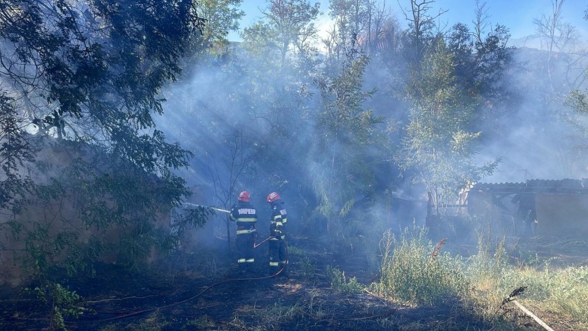 Sursa foto: ISU „Delta” Tulcea
