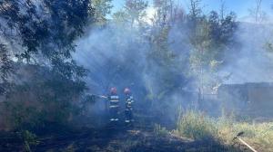 FOTO+VIDEO Update Incendiu de vegetație extins la anexe gospodărești, în Mahmudia, județul Tulcea  