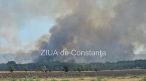 VIDEO Tulcea Incendiu de vegetație uscată în apropiere de Casimcea. Pericol ca focul să ajungă la pădurea din apropiere 