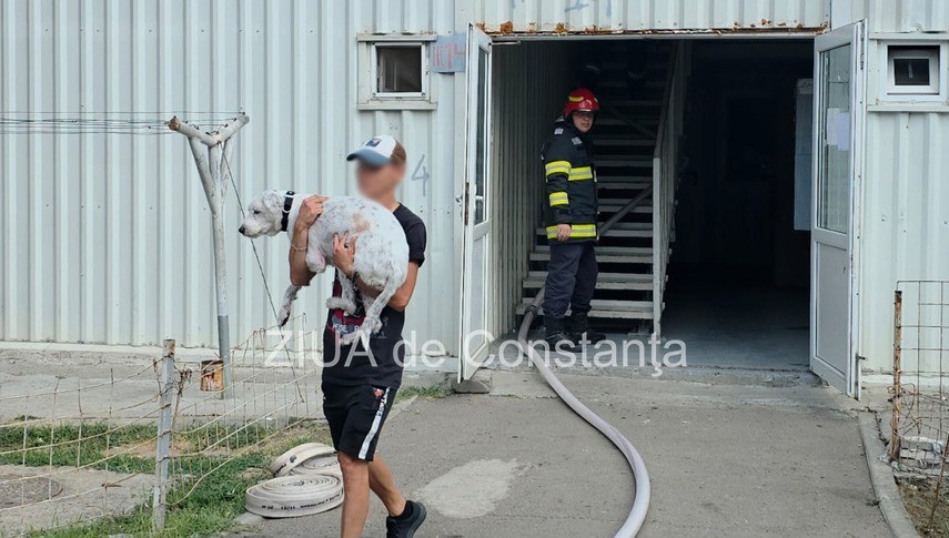 Foto: Ziua de Constanța