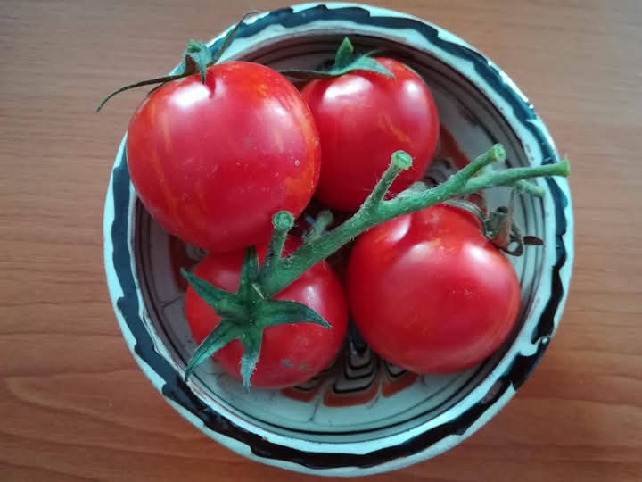 Sursă foto: Facebook/Muzeul de Artă Populară Constanța