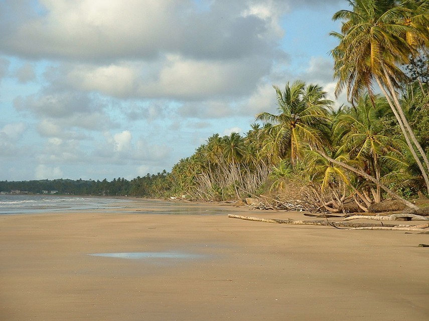 Sursa foto: Wikipedia