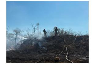 FOTO-VIDEO. Incendiu de vegetație uscată la Tulcea, cu posibilitate de propagare la mai multe locuințe!   