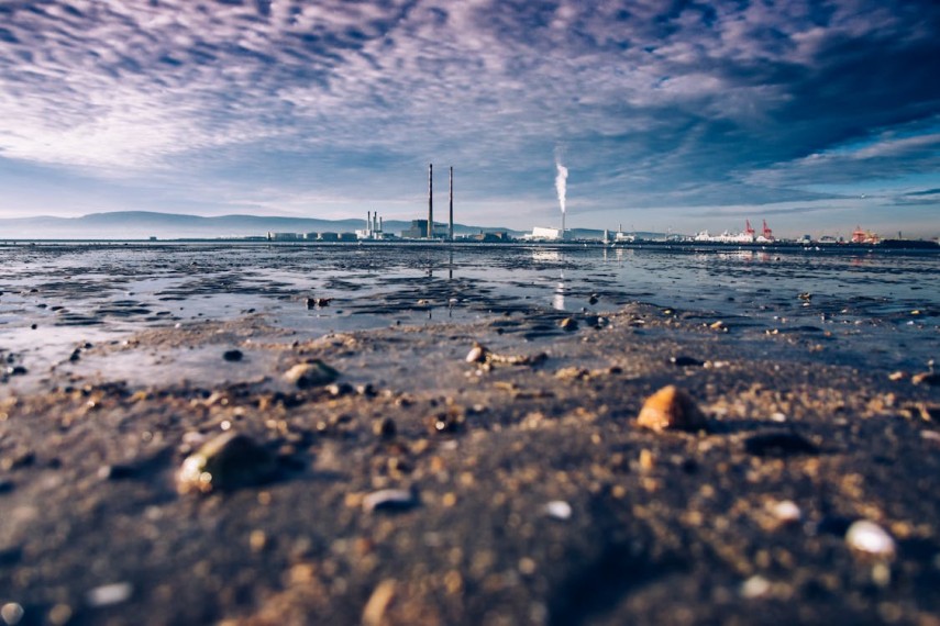 Sursa foto. Pexels/ Imagine cu rol ilustrativ