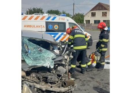 Sursa foto: ISU Timiș