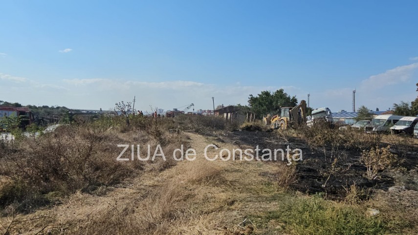 foto video incendiu de vegetatie uscata pe strada justitiei din constanta 910920
