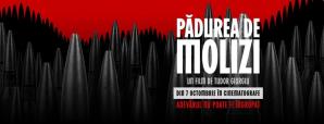 Din octombrie, în cinematografele din toată țara Se lansează „Pădurea de molizi”, film inspirat din fapte reale din istoria României (VIDEO)
