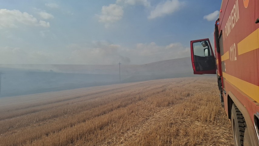 Foto: ISU Delta Tulcea