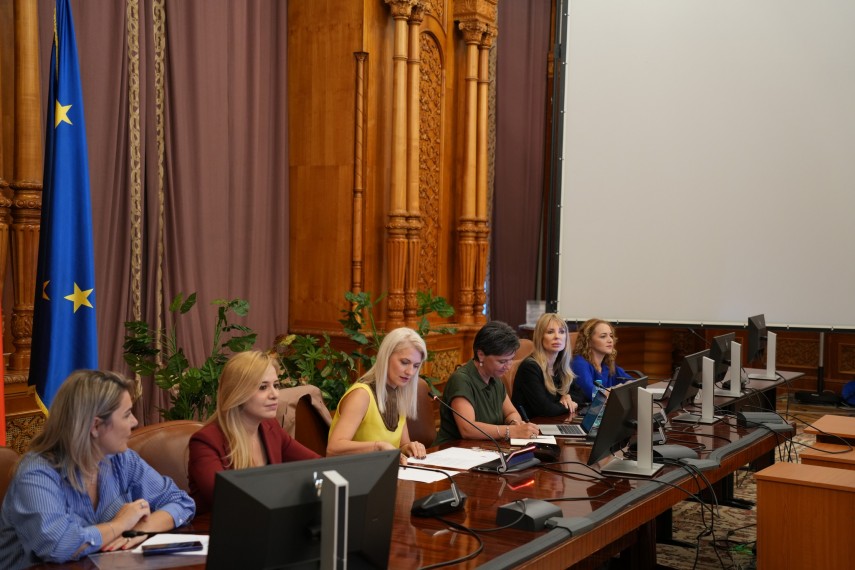 Sursa foto: Comisia specială a Parlamentului: 'România fără violenţă domestică'