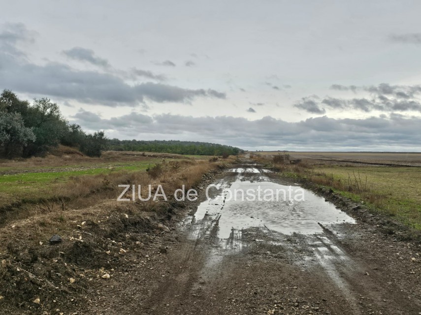 Sursa foto: Ziua de Constanța