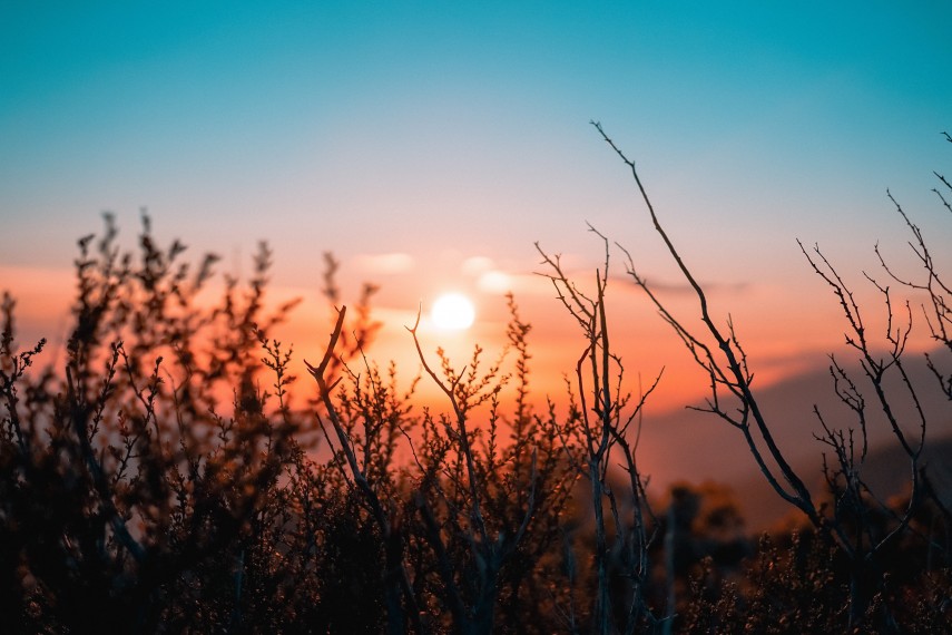 Foto. Unsplash