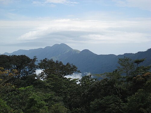 Rezervația Naturală Integrală a Muntelui Nimba, Guineea. Foto - Wikipedia