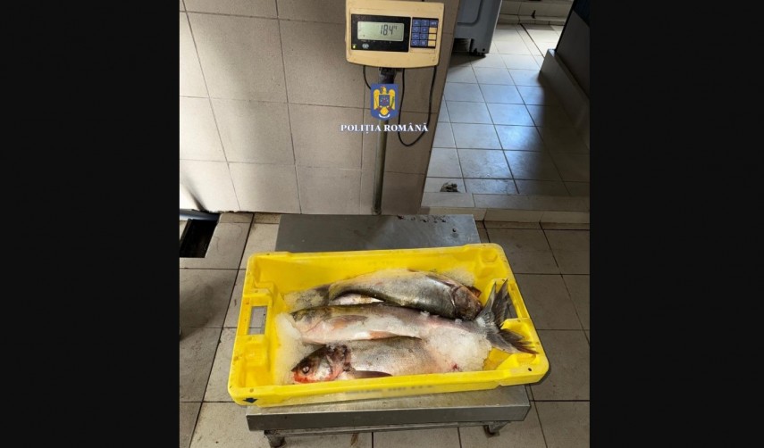 Foto: Poliția Română
