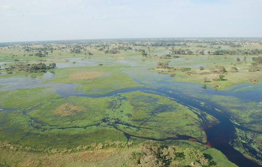 Delta Okavango, Sursa foto: Wikipedia