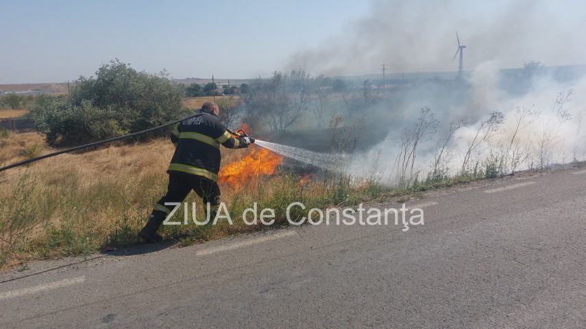 UPDATE: Incendiu de vegetatie in zona de Nord a orasului Sulina, judetul Tulcea (VIDEO) 