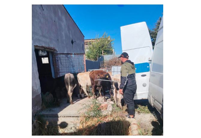 sursa foto: IPJ Tulcea