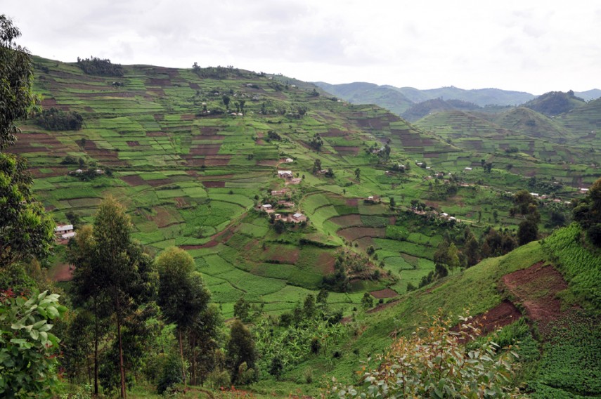 Sursa foto: Wikipedia